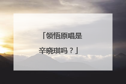 领悟原唱是辛晓琪吗?