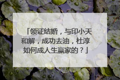 领证结婚，与印小天和解，成功去油，杜淳如何成人生赢家的？