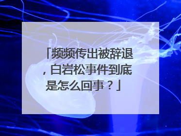 频频传出被辞退，白岩松事件到底是怎么回事？