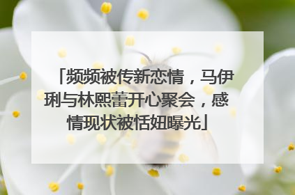 频频被传新恋情,马伊琍与林熙蕾开心聚会,感情现状被恬妞曝光