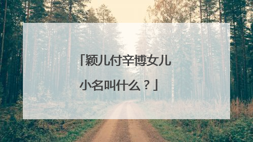 颖儿付辛博女儿小名叫什么？