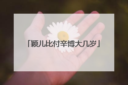 颖儿比付辛博大几岁