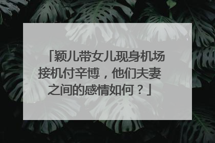 颖儿带女儿现身机场接机付辛博，他们夫妻之间的感情如何？