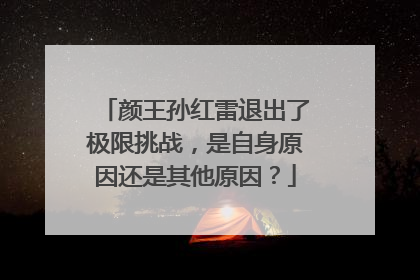 颜王孙红雷退出了极限挑战,是自身原因还是其他原因?