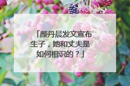 颜丹晨发文宣布生子,她和丈夫是如何相识的?