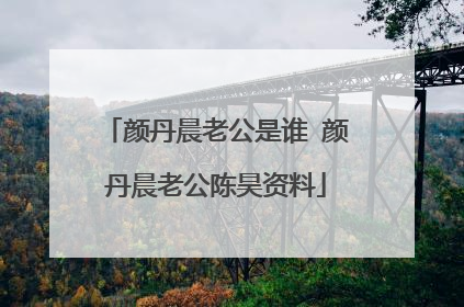 颜丹晨老公是谁 颜丹晨老公陈昊资料