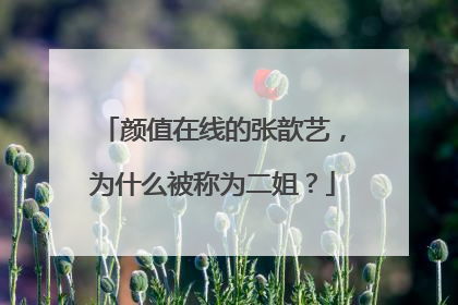 颜值在线的张歆艺,为什么被称为二姐?