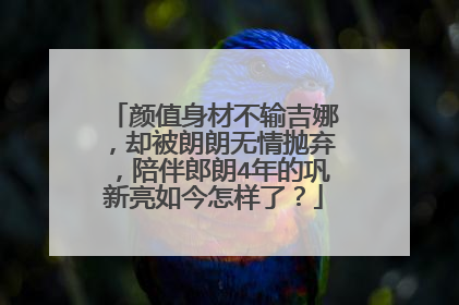 颜值身材不输吉娜，却被朗朗无情抛弃，陪伴郎朗4年的巩新亮如今怎样了？