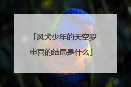 风犬少年的天空罗申喜的结局是什么