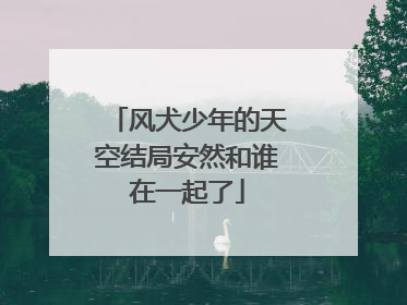 风犬少年的天空结局安然和谁在一起了