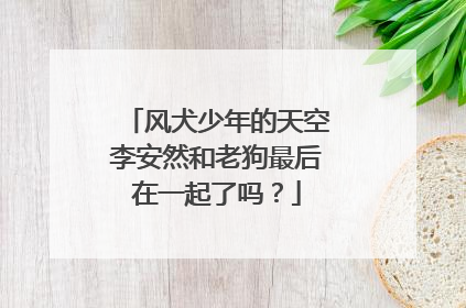 风犬少年的天空李安然和老狗最后在一起了吗？