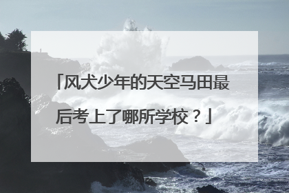 风犬少年的天空马田最后考上了哪所学校？