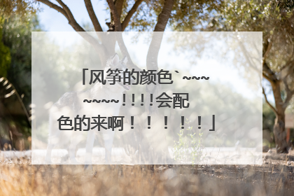 风筝的颜色`~~~~~~~!!!!会配色的来啊！！！！！