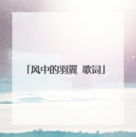 风中的羽翼 歌词