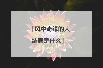 风中奇缘的大结局是什么