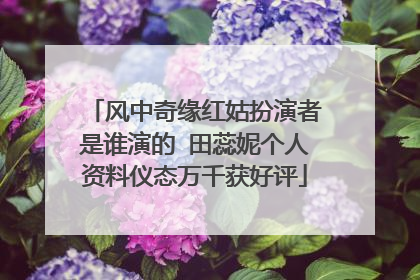 风中奇缘红姑扮演者是谁演的 田蕊妮个人资料仪态万千获好评