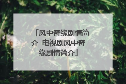 风中奇缘剧情简介 电视剧风中奇缘剧情简介