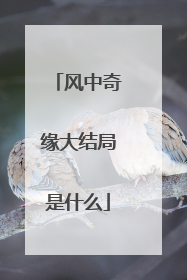 风中奇缘大结局是什么