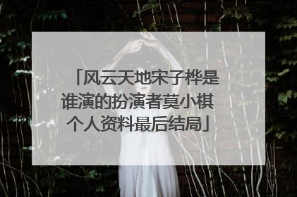 风云天地宋子桦是谁演的扮演者莫小棋个人资料最后结局