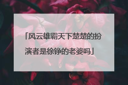 风云雄霸天下楚楚的扮演者是徐铮的老婆吗