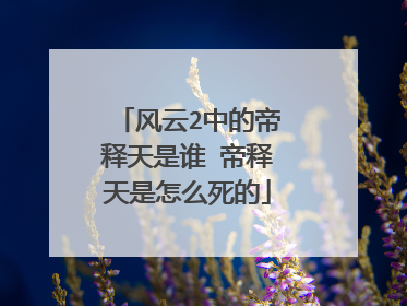 风云2中的帝释天是谁 帝释天是怎么死的