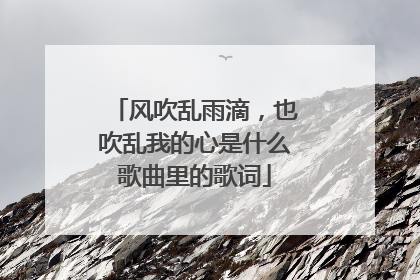 风吹乱雨滴,也吹乱我的心是什么歌曲里的歌词