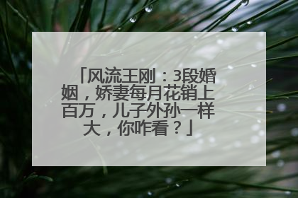 风流王刚：3段婚姻，娇妻每月花销上百万，儿子外孙一样大，你咋看？