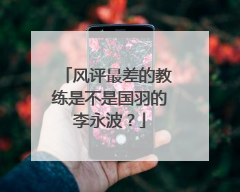 风评最差的教练是不是国羽的李永波?