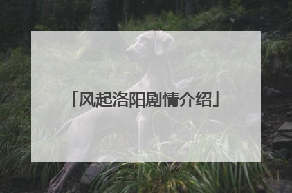 风起洛阳剧情介绍