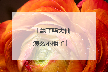 飘了吗大仙怎么不播了