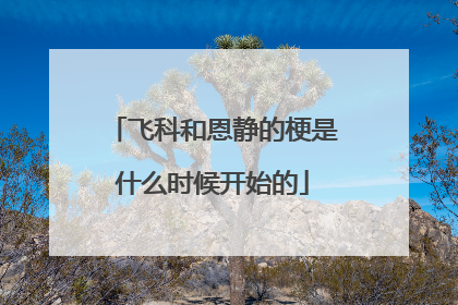飞科和恩静的梗是什么时候开始的