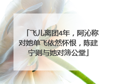 飞儿离团4年,阿沁称对她单飞依然怀恨,陈建宁则与她对簿公堂