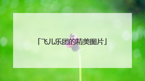 飞儿乐团的精美图片