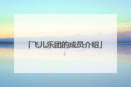 飞儿乐团的成员介绍