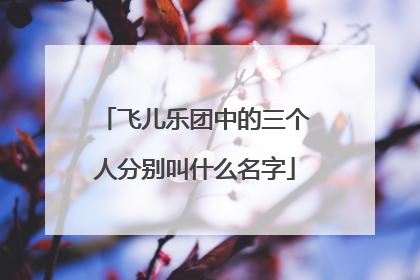 飞儿乐团中的三个人分别叫什么名字
