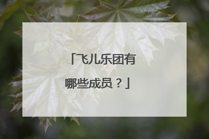 飞儿乐团有哪些成员？