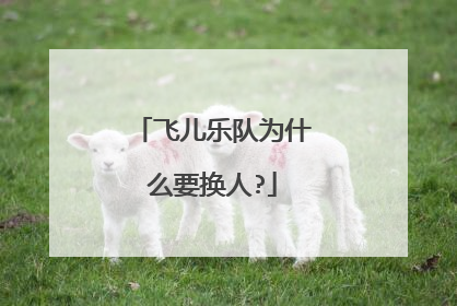 飞儿乐队为什么要换人?