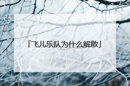 飞儿乐队为什么解散