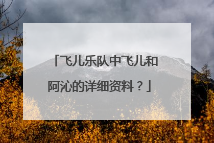 飞儿乐队中飞儿和阿沁的详细资料?