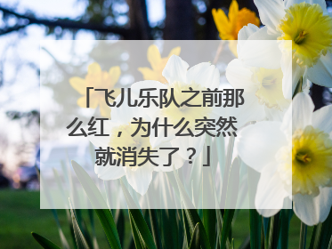 飞儿乐队之前那么红，为什么突然就消失了？