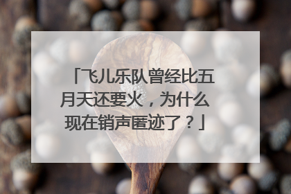 飞儿乐队曾经比五月天还要火，为什么现在销声匿迹了？