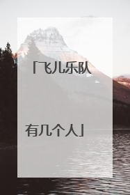 飞儿乐队有几个人