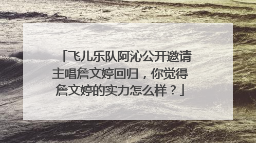 飞儿乐队阿沁公开邀请主唱詹文婷回归,你觉得詹文婷的实力怎么样?