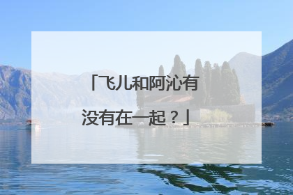 飞儿和阿沁有没有在一起?