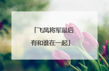 飞凤将军最后有和谁在一起