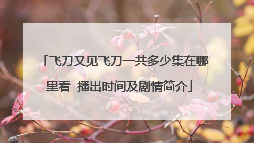 飞刀又见飞刀一共多少集在哪里看 播出时间及剧情简介