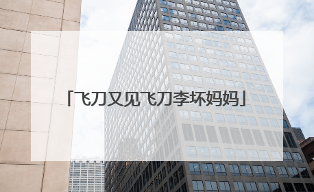 飞刀又见飞刀李坏妈妈