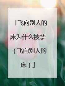飞向别人的床为什么被禁（飞向别人的床）