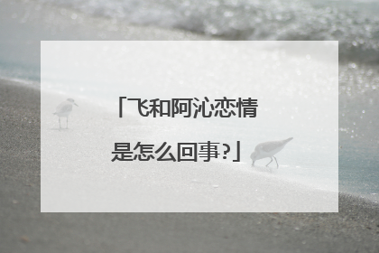 飞和阿沁恋情是怎么回事?