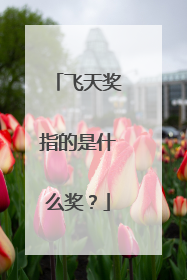 飞天奖指的是什么奖？